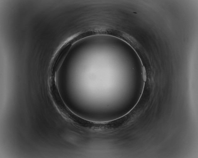 X0000086730728200704131106
