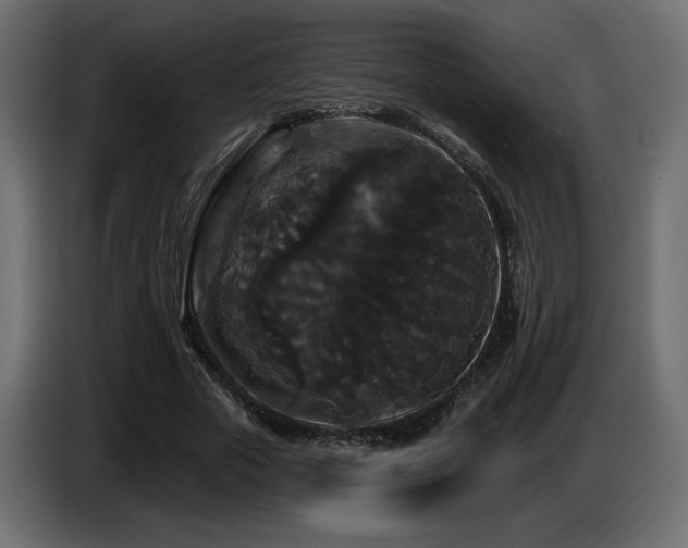 X0000086730729200704131106