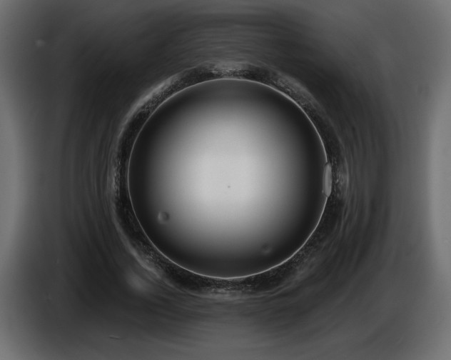 X0000086730732200704131106