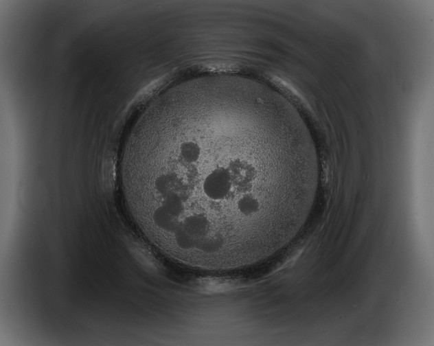X0000086730733200704131106