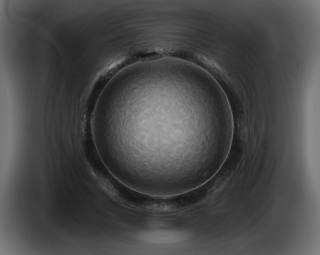 X0000086730735200704131106
