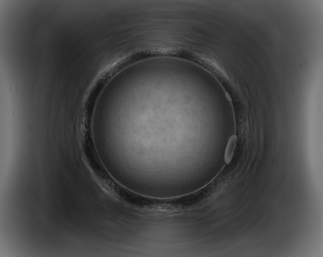X0000086730736200704131106