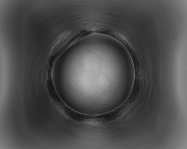 X0000086730738200704131106
