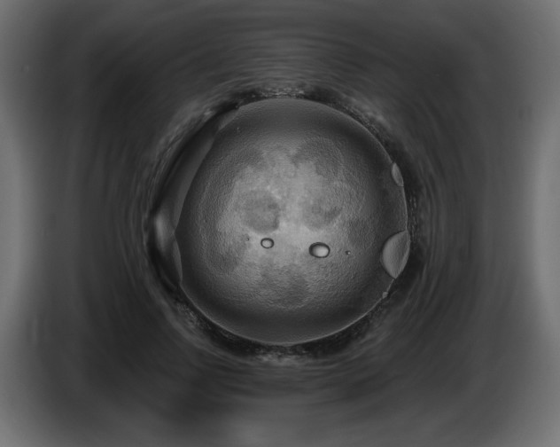 X0000086730742200704131106