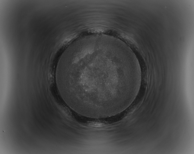 X0000086730743200704131106