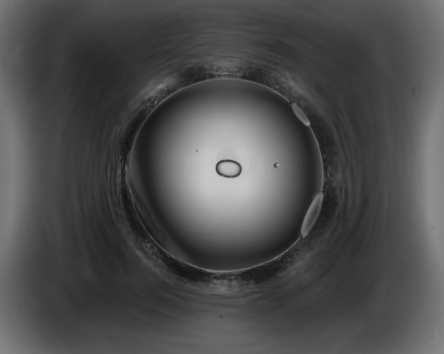 X0000086730744200704131106