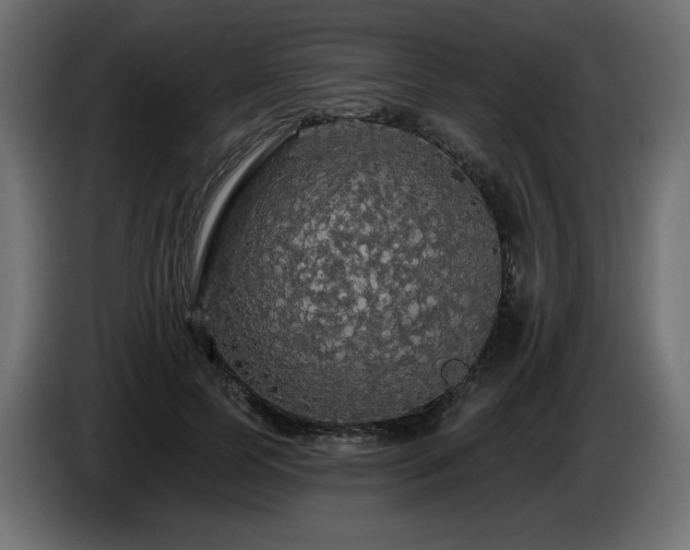 X0000086730745200704131106