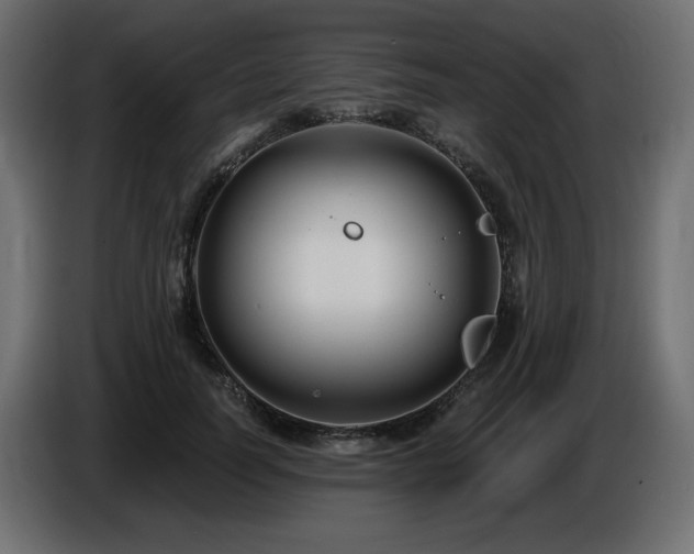 X0000086730746200704131106