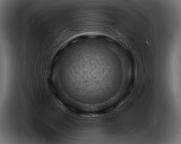 X0000086730750200704131106