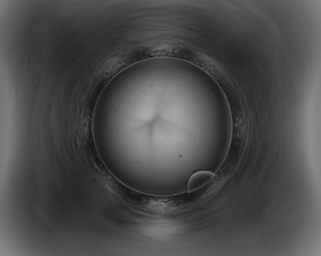 X0000086730753200704131106