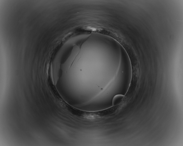 X0000086730754200704131106