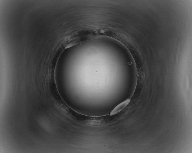 X0000086730756200704131106