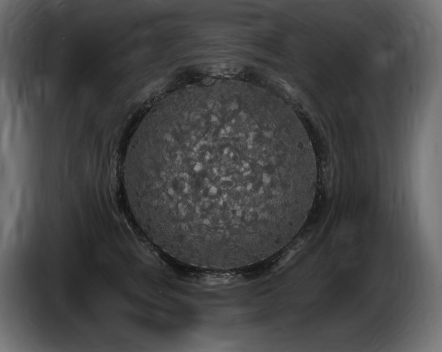 X0000086730757200704131106