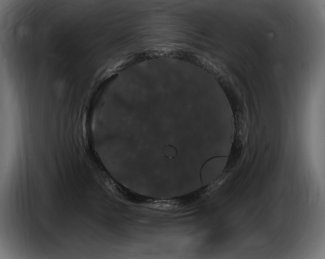 X0000086730758200704131106