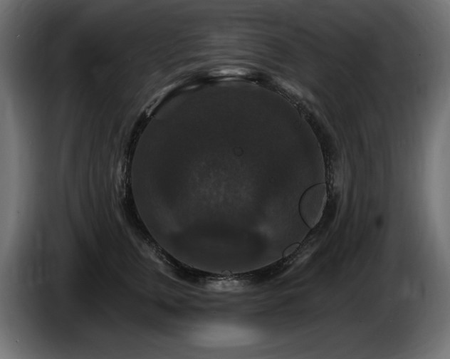 X0000086730759200704131106