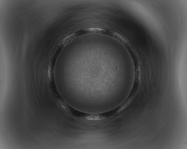 X0000086730762200704131106
