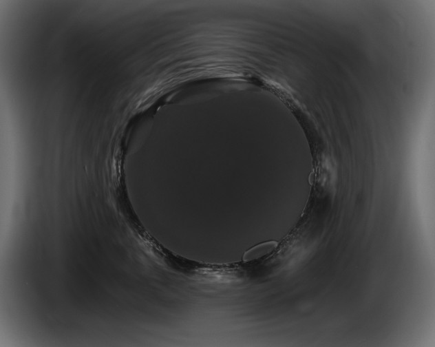 X0000086730763200704131106
