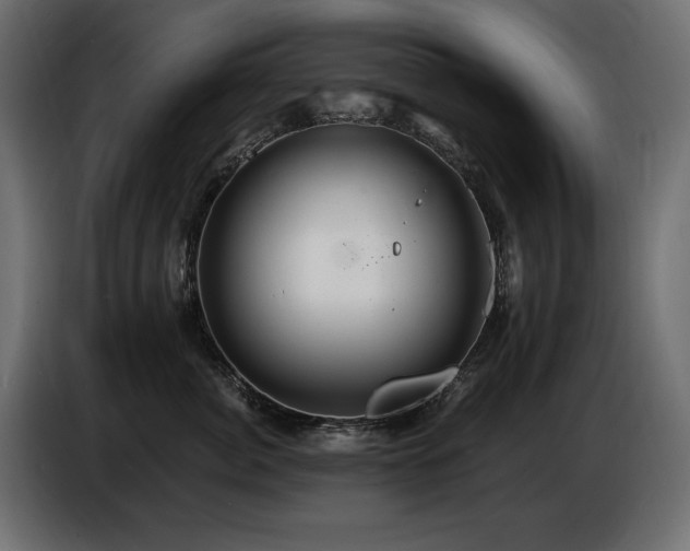 X0000086730764200704131106