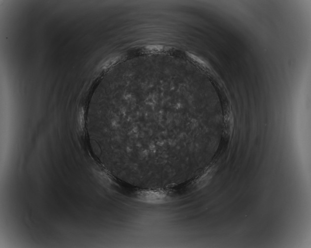 X0000086730765200704131106