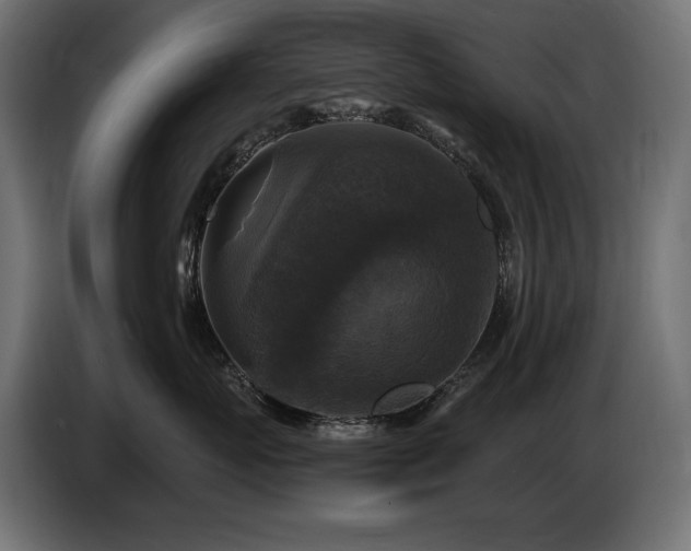 X0000086730767200704131106