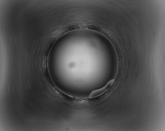 X0000086730768200704131106