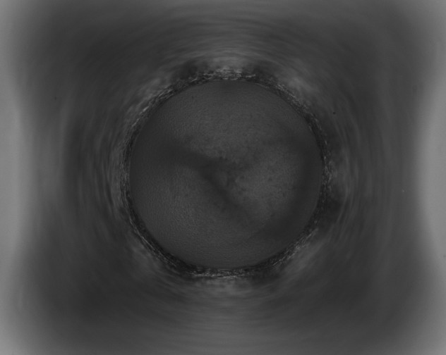 X0000086730769200704131106