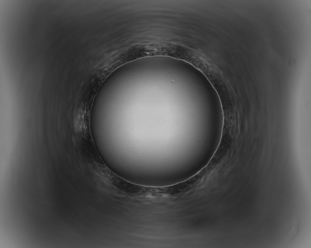 X0000086730770200704131106