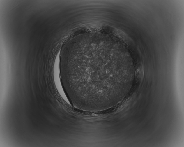 X0000086730772200704131106