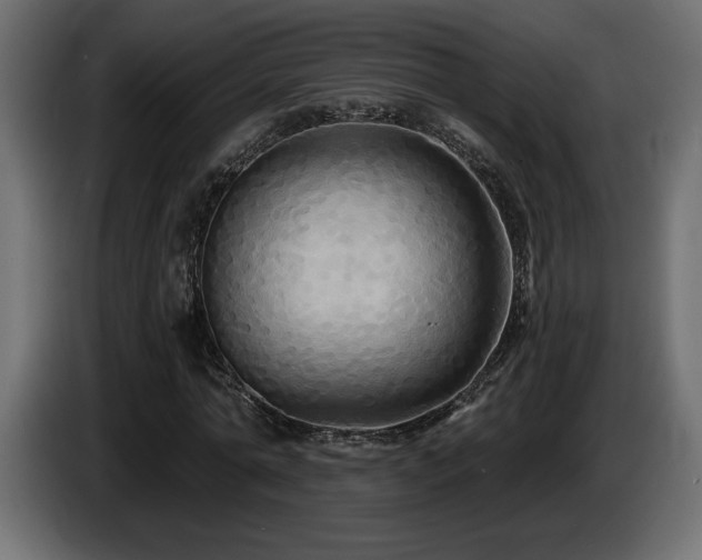 X0000086730774200704131106