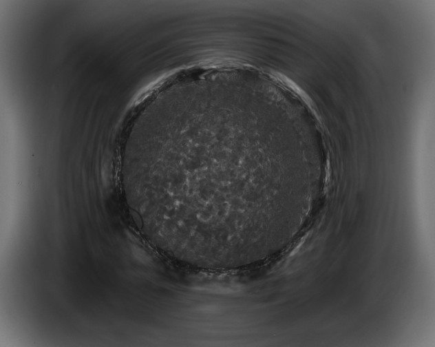 X0000086730775200704131106
