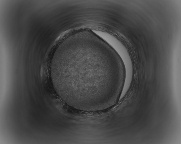 X0000086730776200704131105