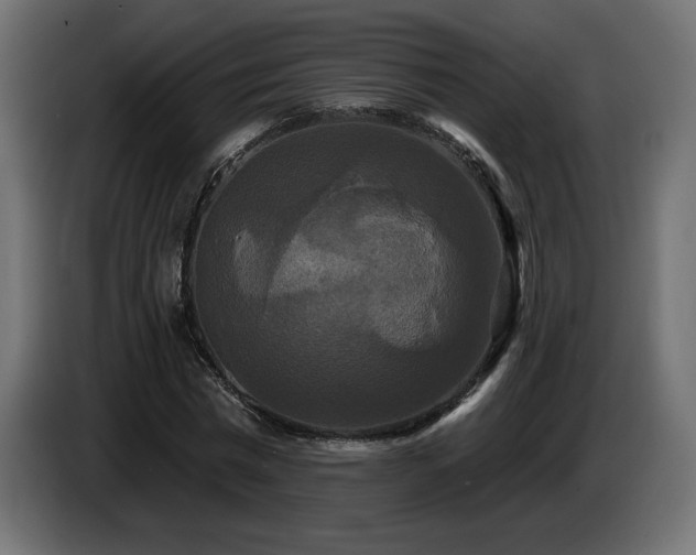 X0000086730777200704131105