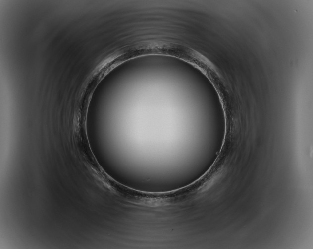 X0000086730778200704131105