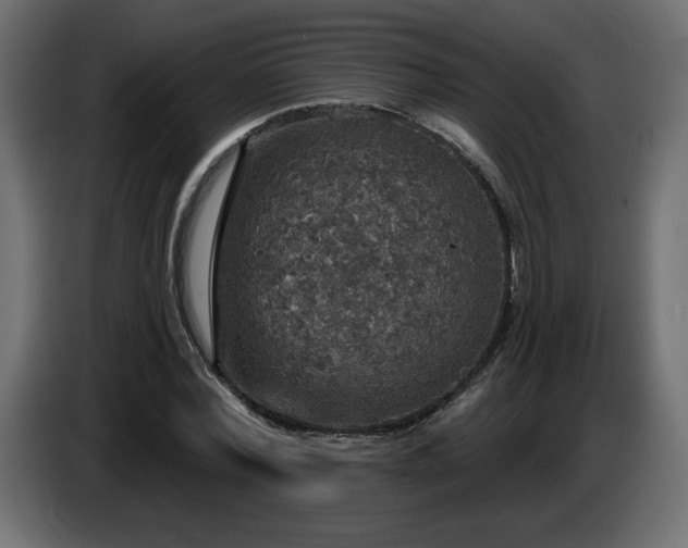 X0000086730780200704131105