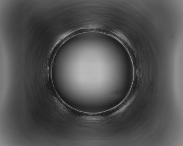 X0000086730781200704131105