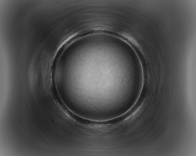 X0000086730782200704131105