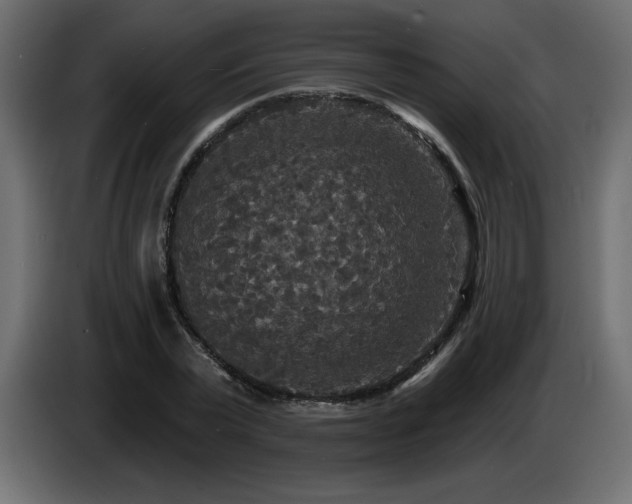 X0000086730783200704131105