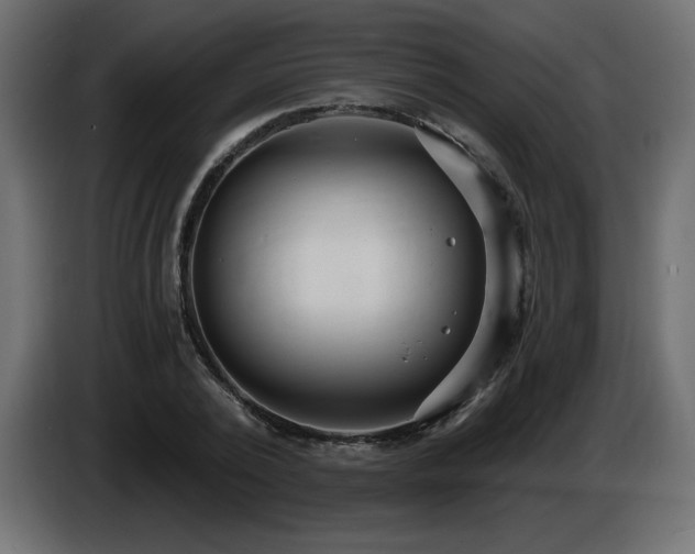 X0000086730784200704131105
