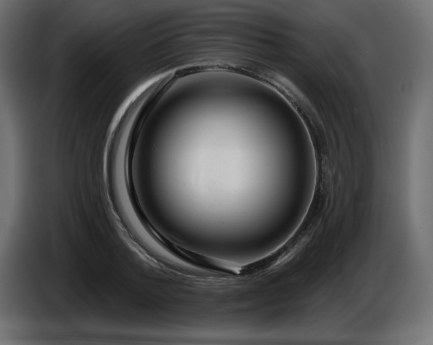 X0000086730788200704131105