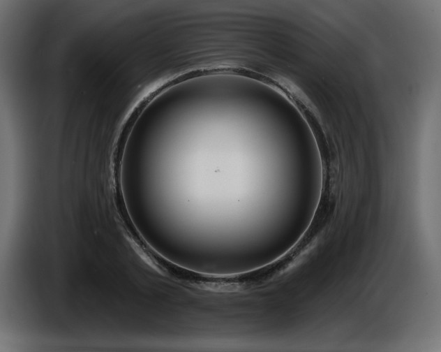 X0000086730789200704131105