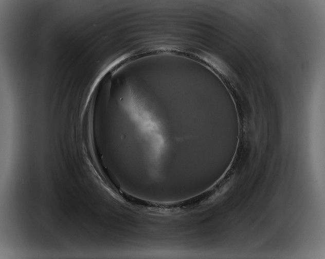 X0000086730790200704131105