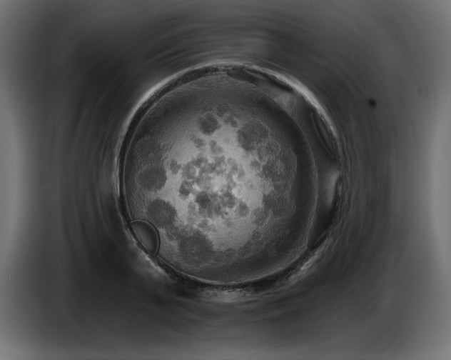 X0000086730791200704131105