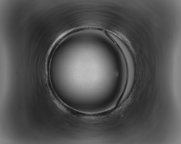 X0000086730792200704131105