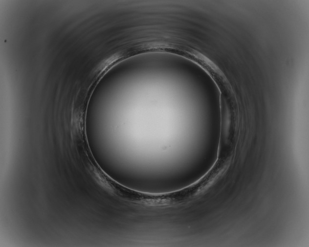 X0000086730793200704131105