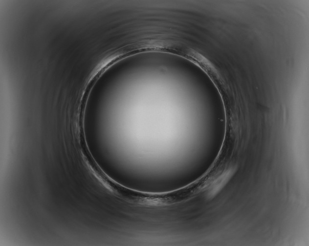 X0000086730794200704131105