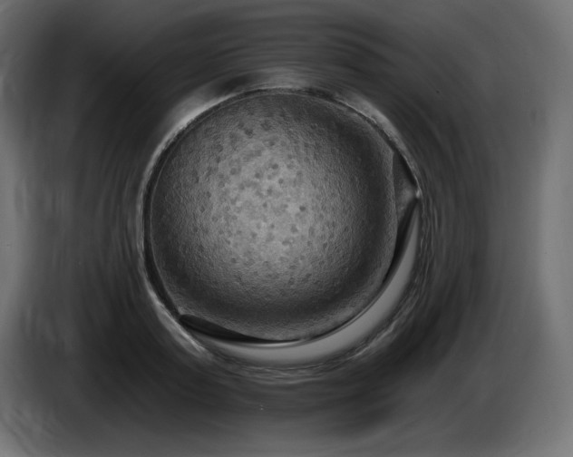 X0000086730795200704131105