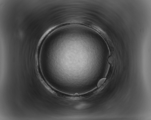 X0000086730796200704131105