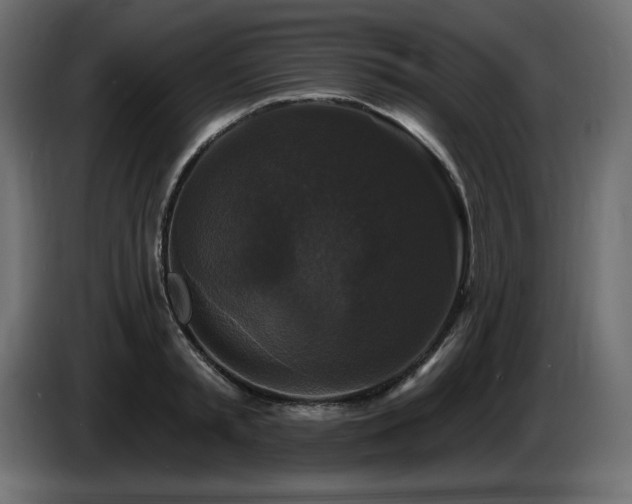 X0000086730797200704131105