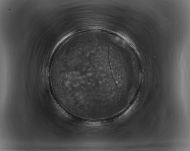 X0000086730798200704131105