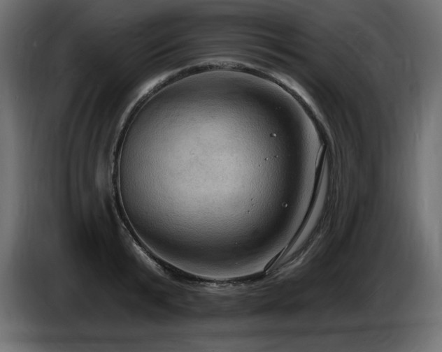 X0000086730799200704131105